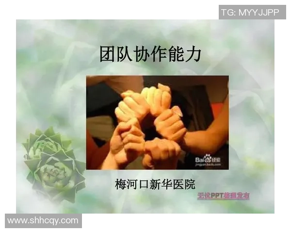 南京乒乓球队在联赛中的团队协作表现分析与启示